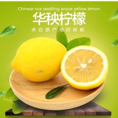 华秧安岳黄柠檬9斤新鲜水果当季现摘皮薄一二级香水小金桔青柠檬